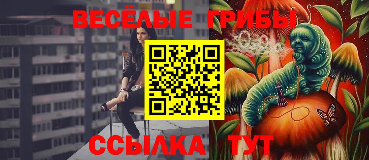 Меф МЯУ МЯУ  ЭКСТАЗИ  АМФ кристаллы  Метамфетамин  Марихуана  Вход с VPN  Мытищи  Где найти наркотики?  Мефедрон кристаллы  ГАШ 