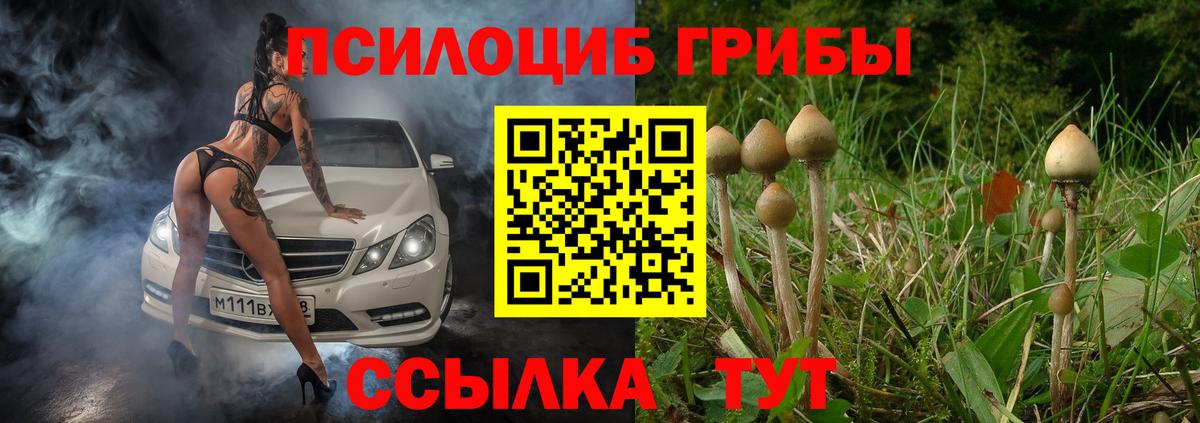 Мытищи  Галлюциногенные грибы мицелий  Галлюциногенные грибы MAGIC MUSHROOMS  Вход с VPN 